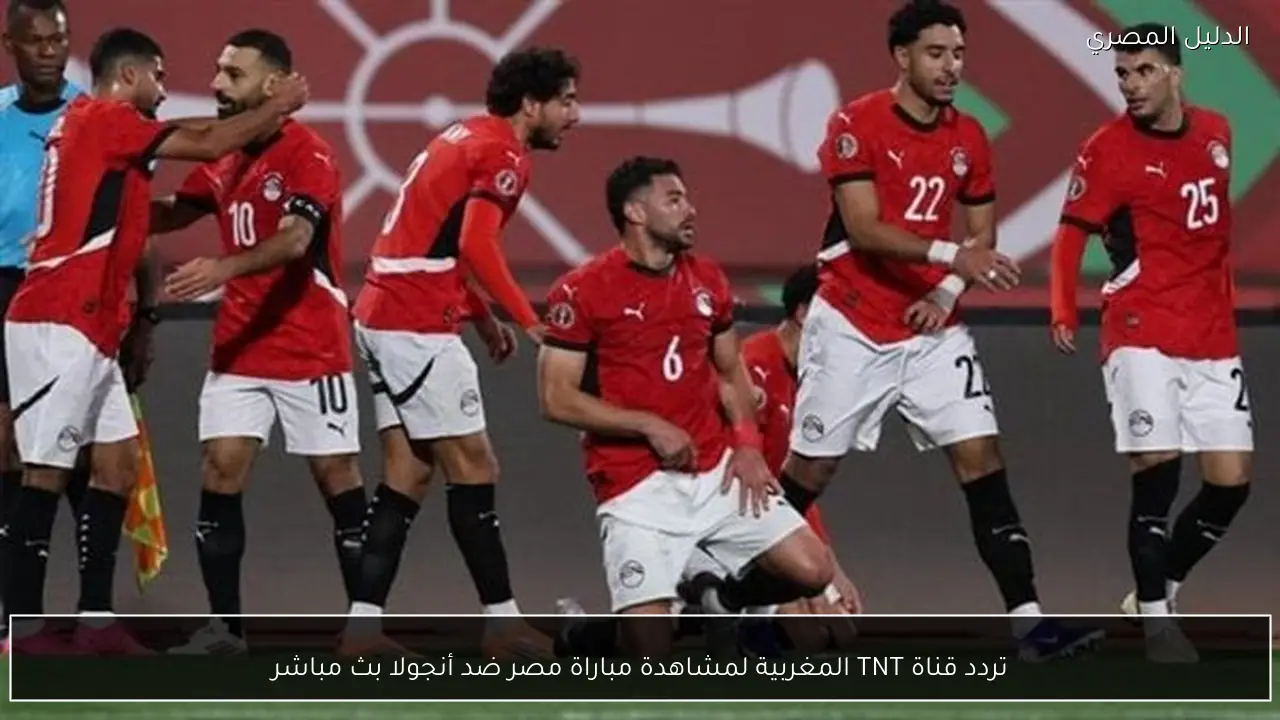 تردد قناة TNT المغربية لمشاهدة مباراة مصر ضد أنجولا بث مباشر