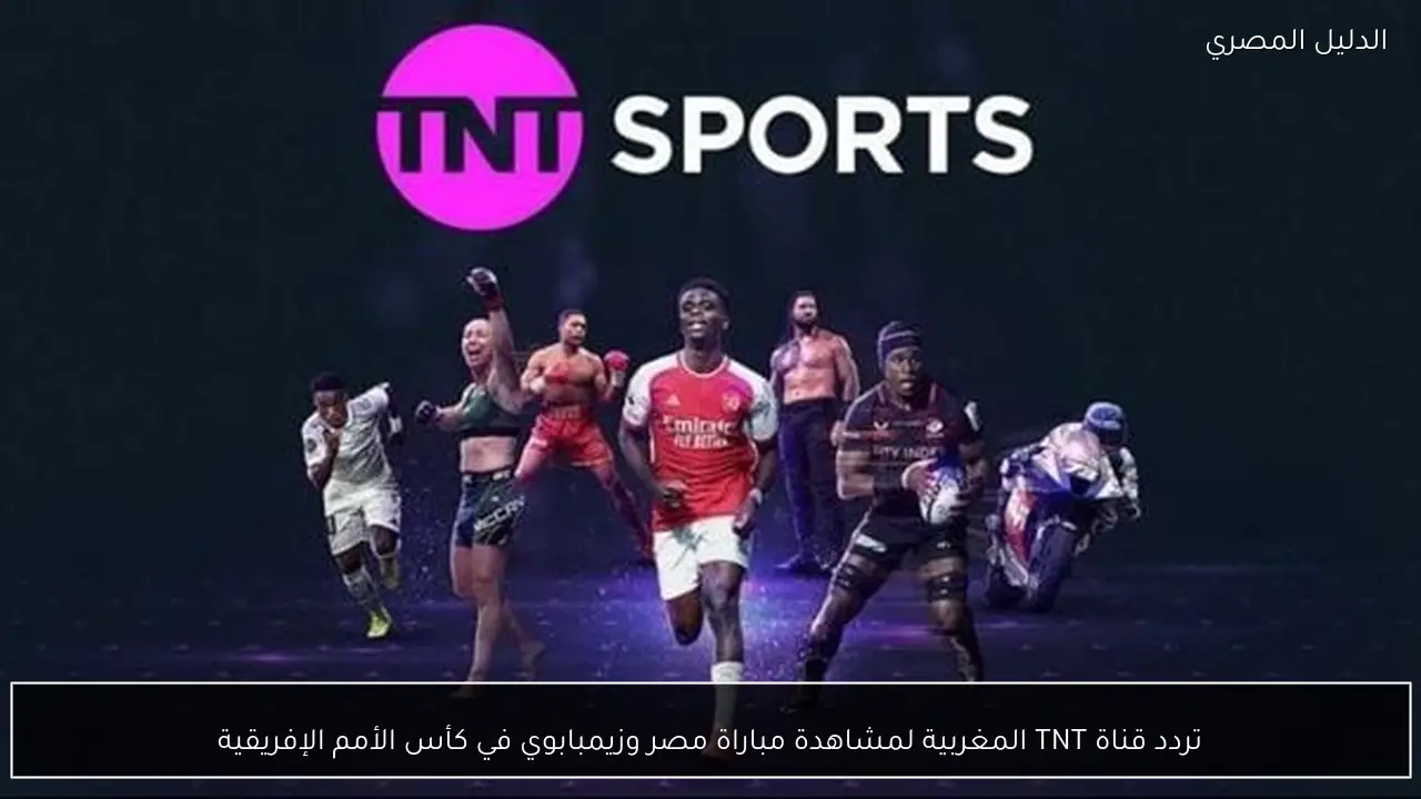تردد قناة TNT المغربية لمشاهدة مباراة مصر وزيمبابوي في كأس الأمم الإفريقية