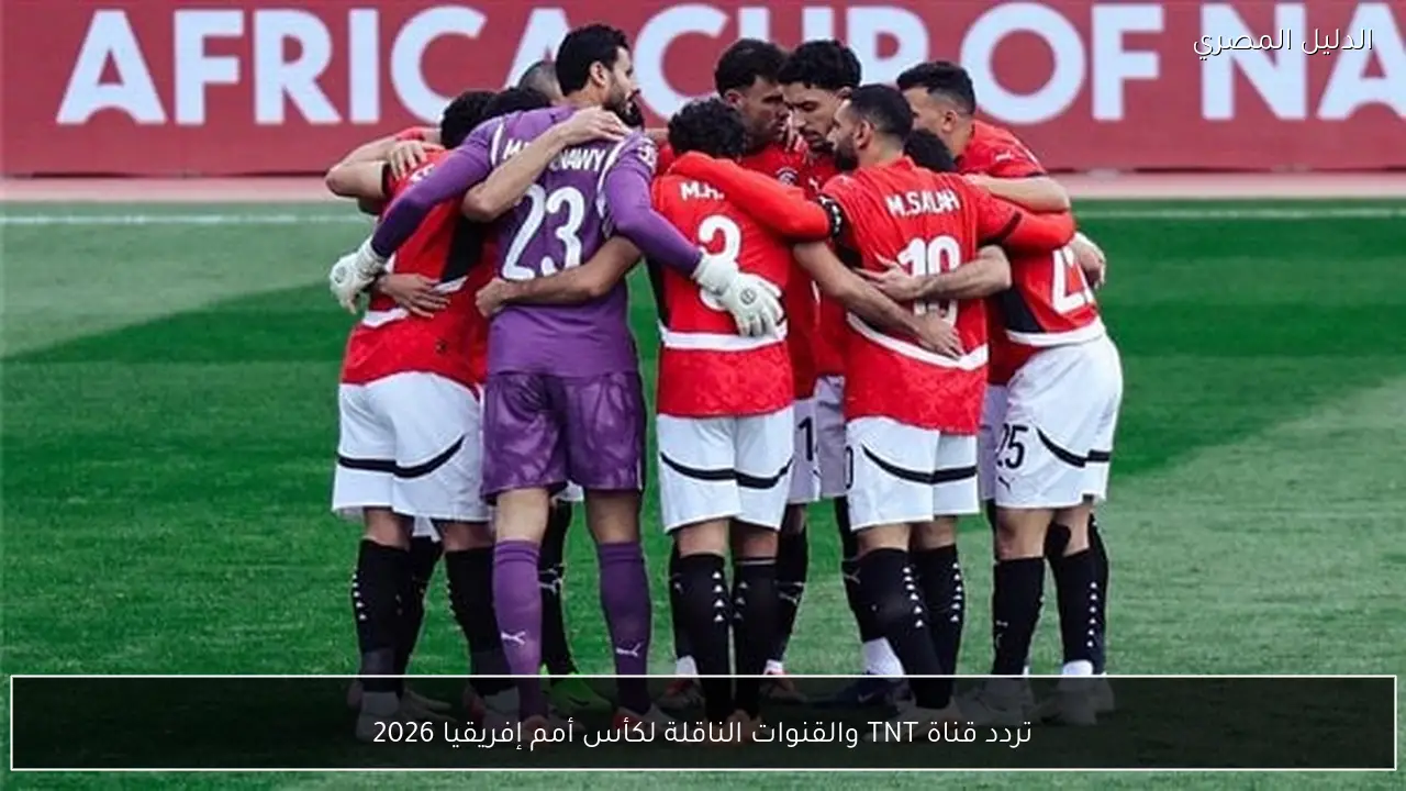 تردد قناة TNT والقنوات الناقلة لكأس أمم إفريقيا 2026