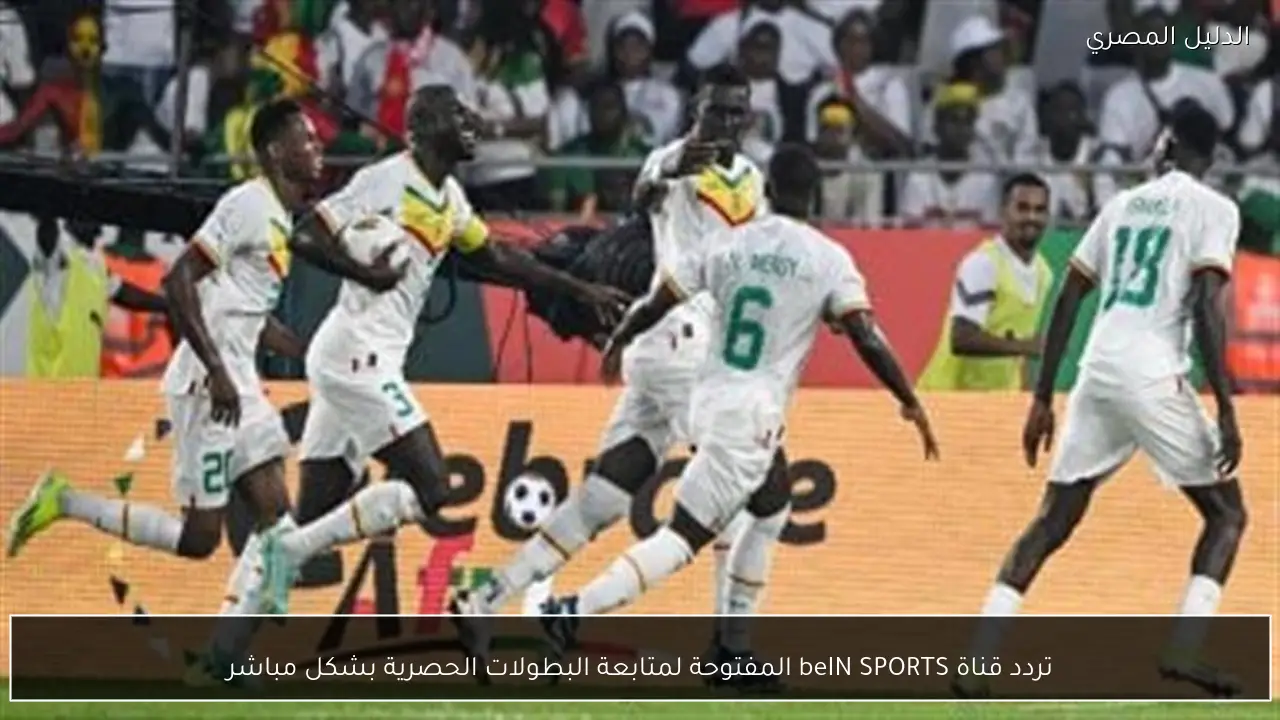 تردد قناة beIN SPORTS المفتوحة لمتابعة البطولات الحصرية بشكل مباشر