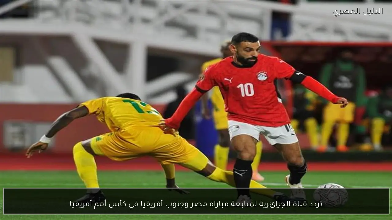 تردد قناة الجزائرية لمتابعة مباراة مصر وجنوب أفريقيا في كأس أمم أفريقيا