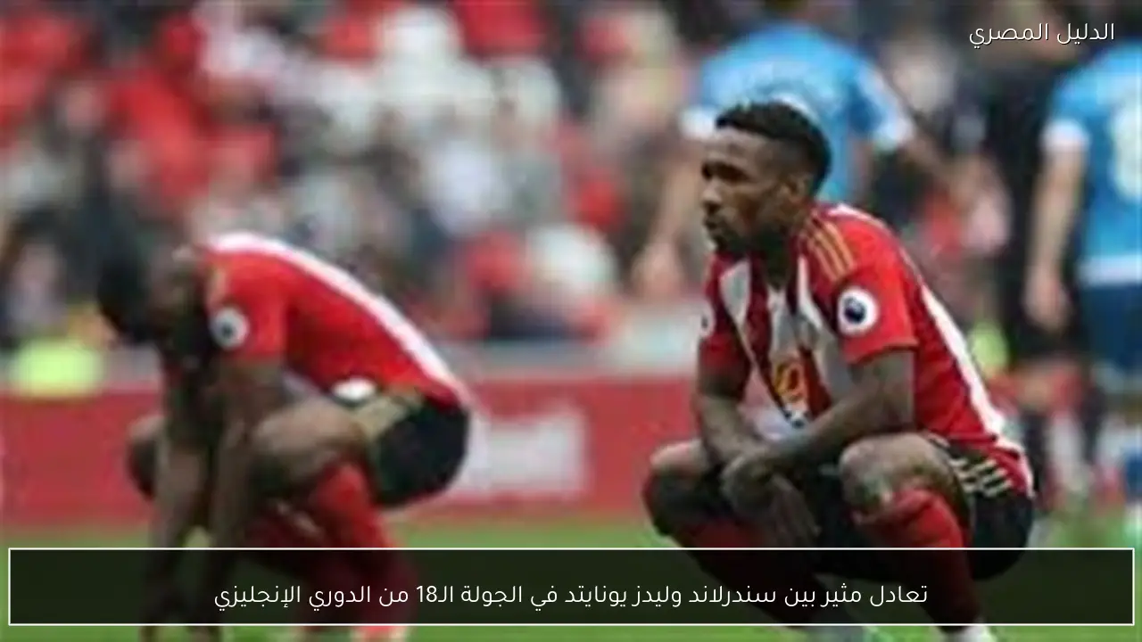 تعادل مثير بين سندرلاند وليدز يونايتد في الجولة الـ18 من الدوري الإنجليزي