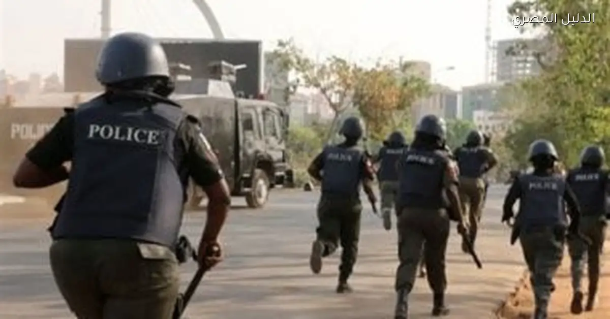 جيش النيجر يعلن عن تحييد 41 إرهابيا وتوقيف 37 خلال عملية أمنية جديدة