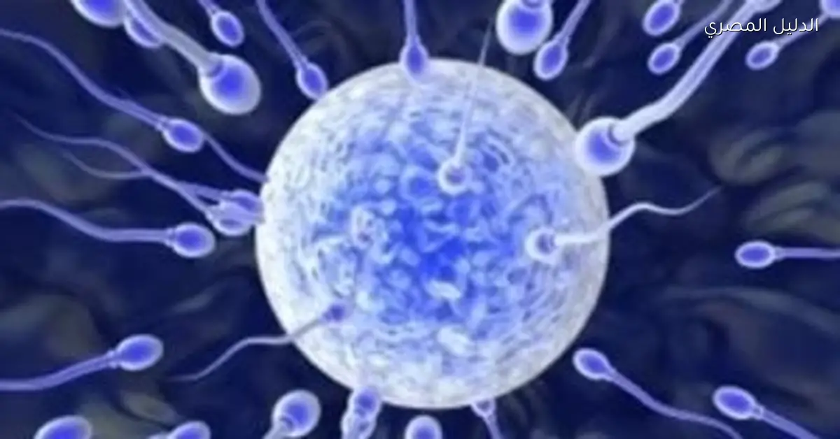 دول تتبنى تشريعات جديدة لتفادي مشكلات التبرع بالحيوانات المنوية