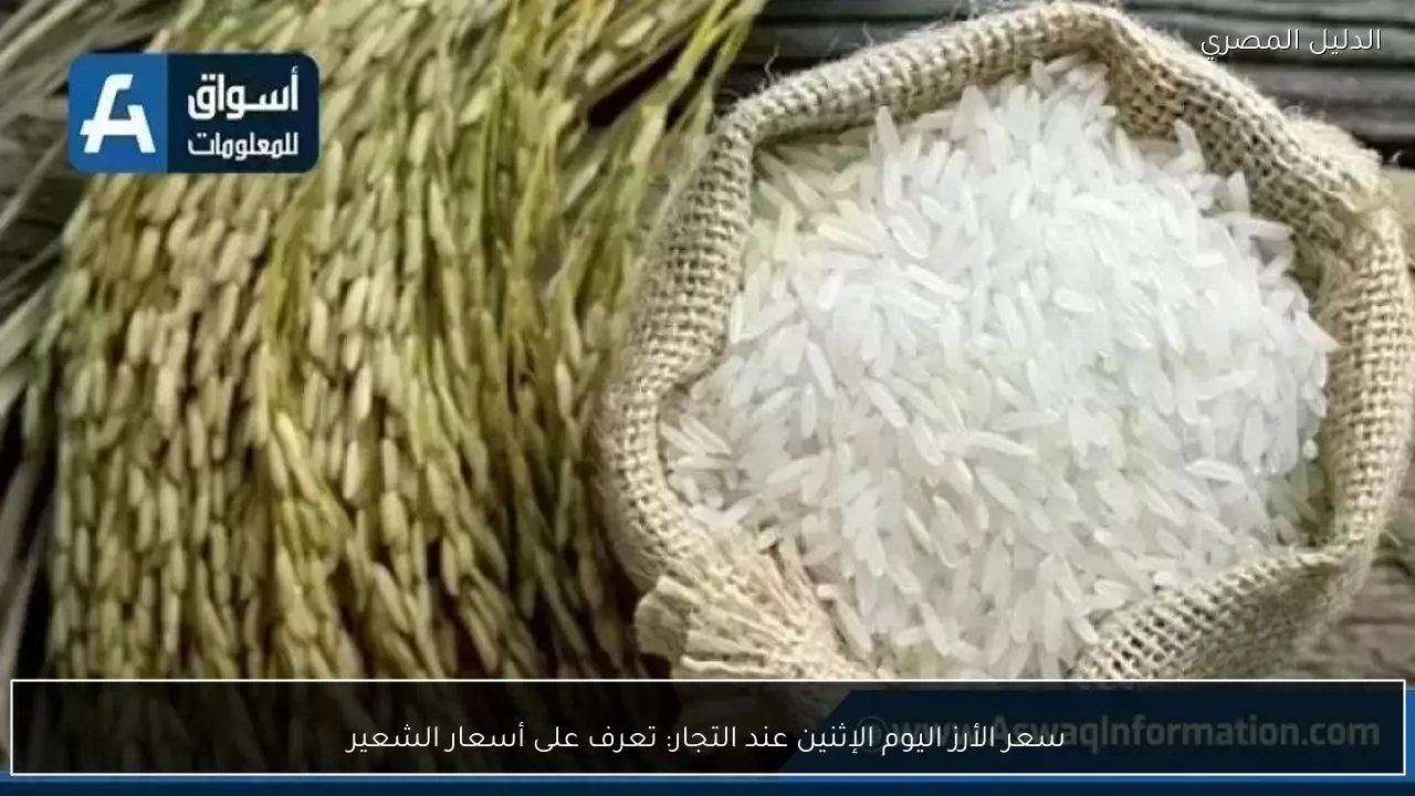 سعر الأرز اليوم الإثنين عند التجار: تعرف على أسعار الشعير