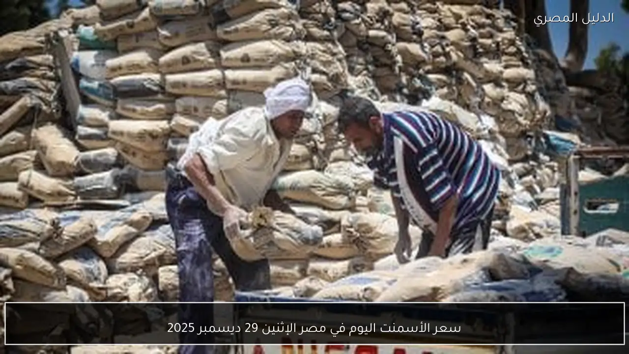 سعر الأسمنت اليوم في مصر الإثنين 29 ديسمبر 2025