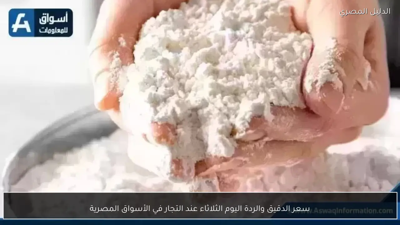 سعر الدقيق والردة اليوم الثلاثاء عند التجار في الأسواق المصرية