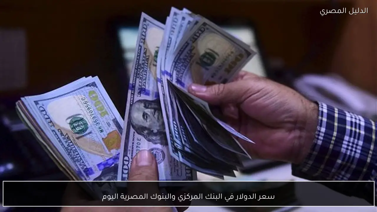 سعر الدولار في البنك المركزي والبنوك المصرية اليوم