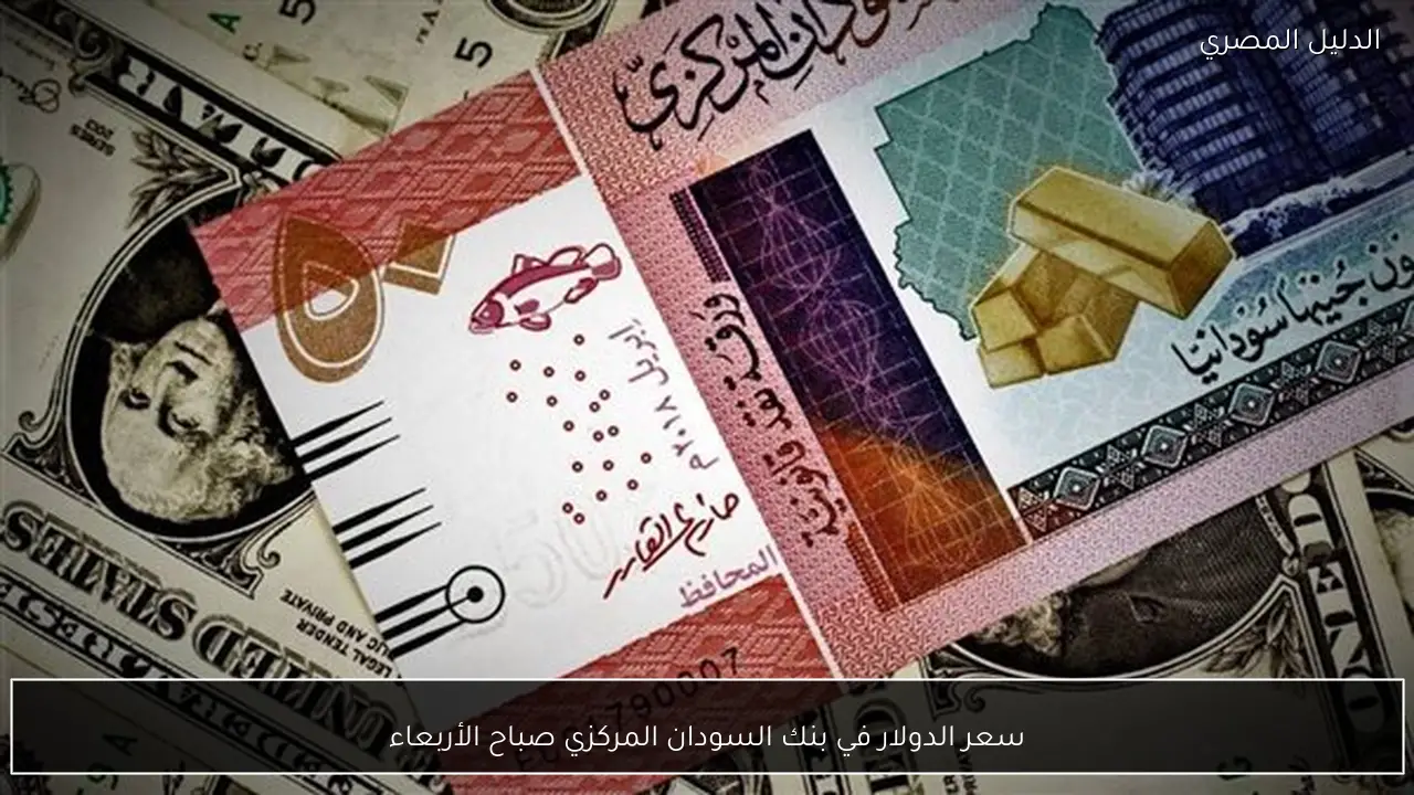 سعر الدولار في بنك السودان المركزي صباح الأربعاء