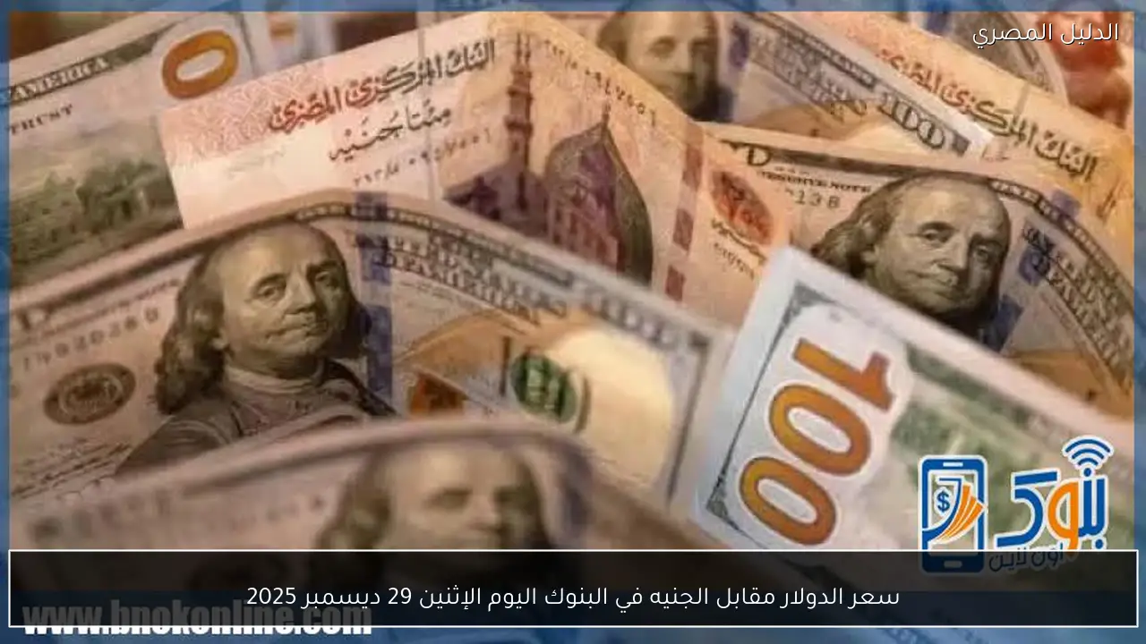 سعر الدولار مقابل الجنيه في البنوك اليوم الإثنين 29 ديسمبر 2025