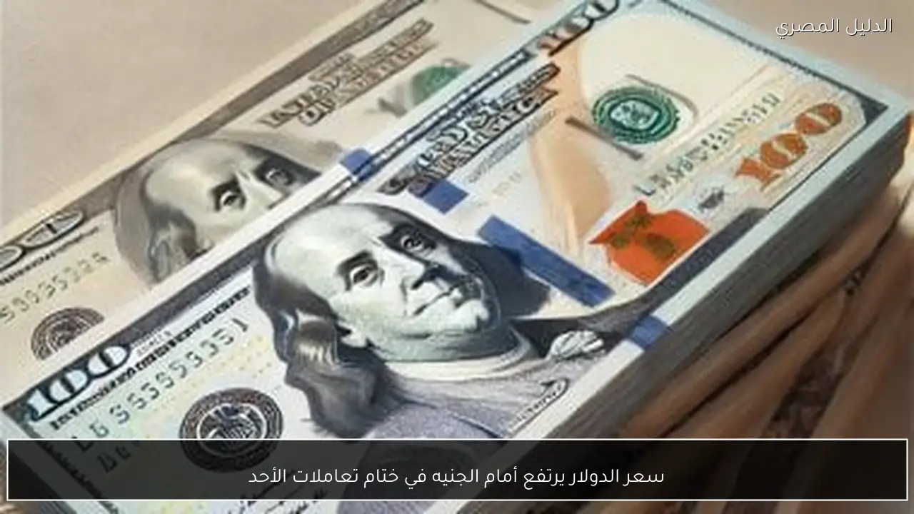 سعر الدولار يرتفع أمام الجنيه في ختام تعاملات الأحد