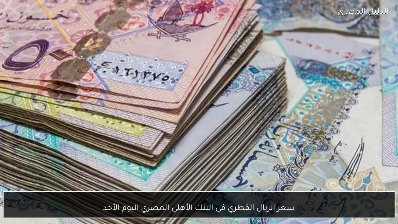 سعر الريال القطري في البنك الأهلي المصري اليوم الأحد