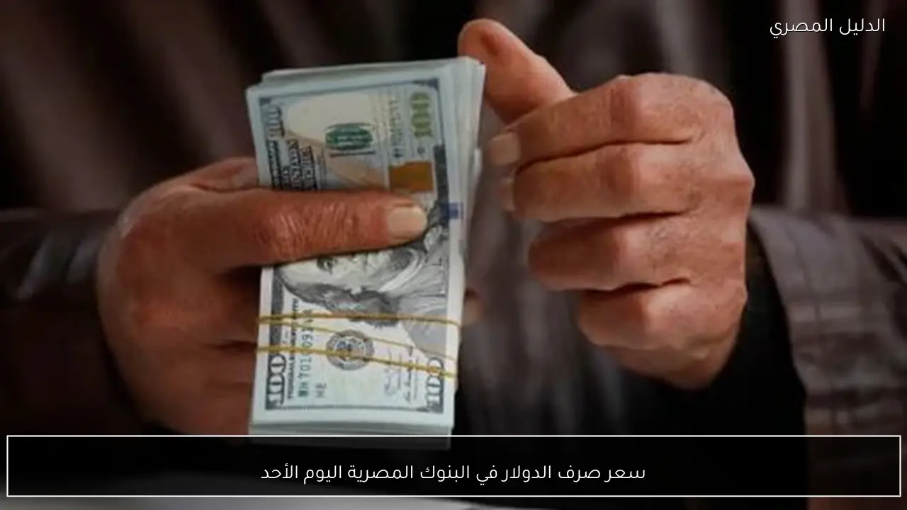 سعر صرف الدولار في البنوك المصرية اليوم الأحد