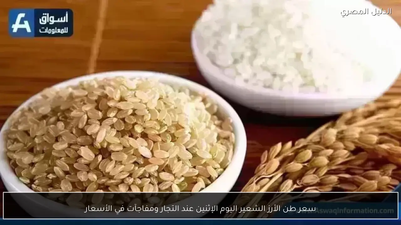 سعر طن الأرز الشعير اليوم الإثنين عند التجار ومفاجآت في الأسعار