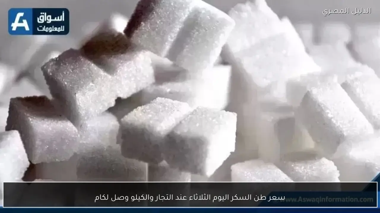 سعر طن السكر اليوم الثلاثاء عند التجار والكيلو وصل لكام