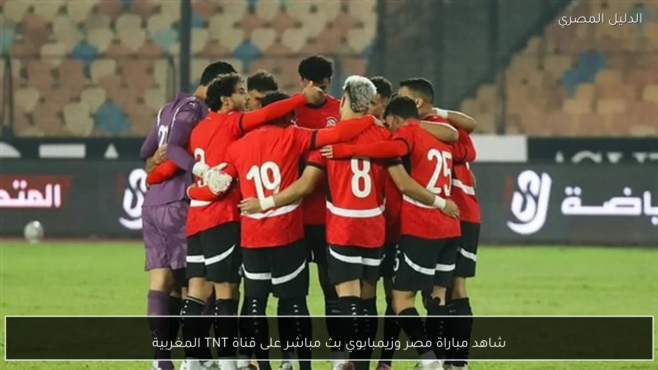 شاهد مباراة مصر وزيمبابوي بث مباشر على قناة TNT المغربية