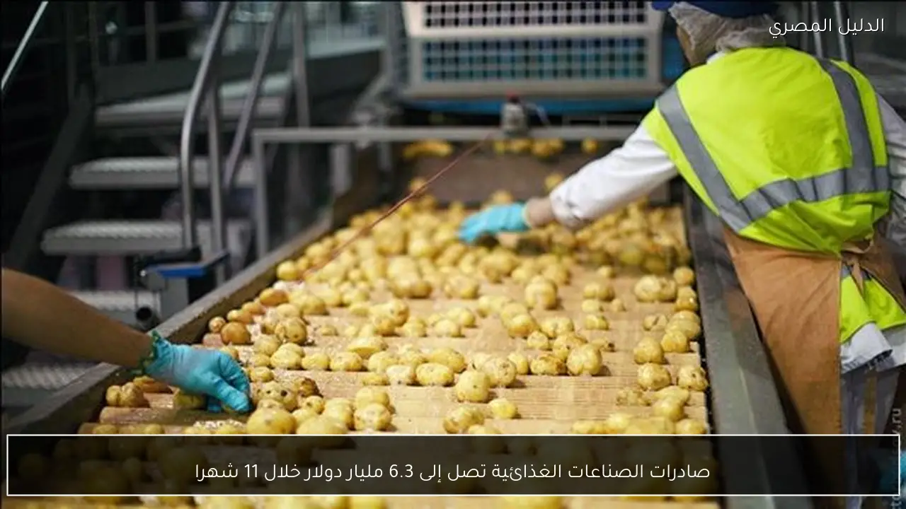 صادرات الصناعات الغذائية تصل إلى 6.3 مليار دولار خلال 11 شهرا