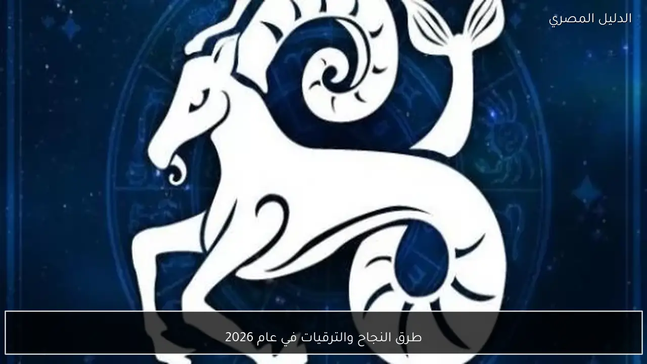 طرق النجاح والترقيات في عام 2026