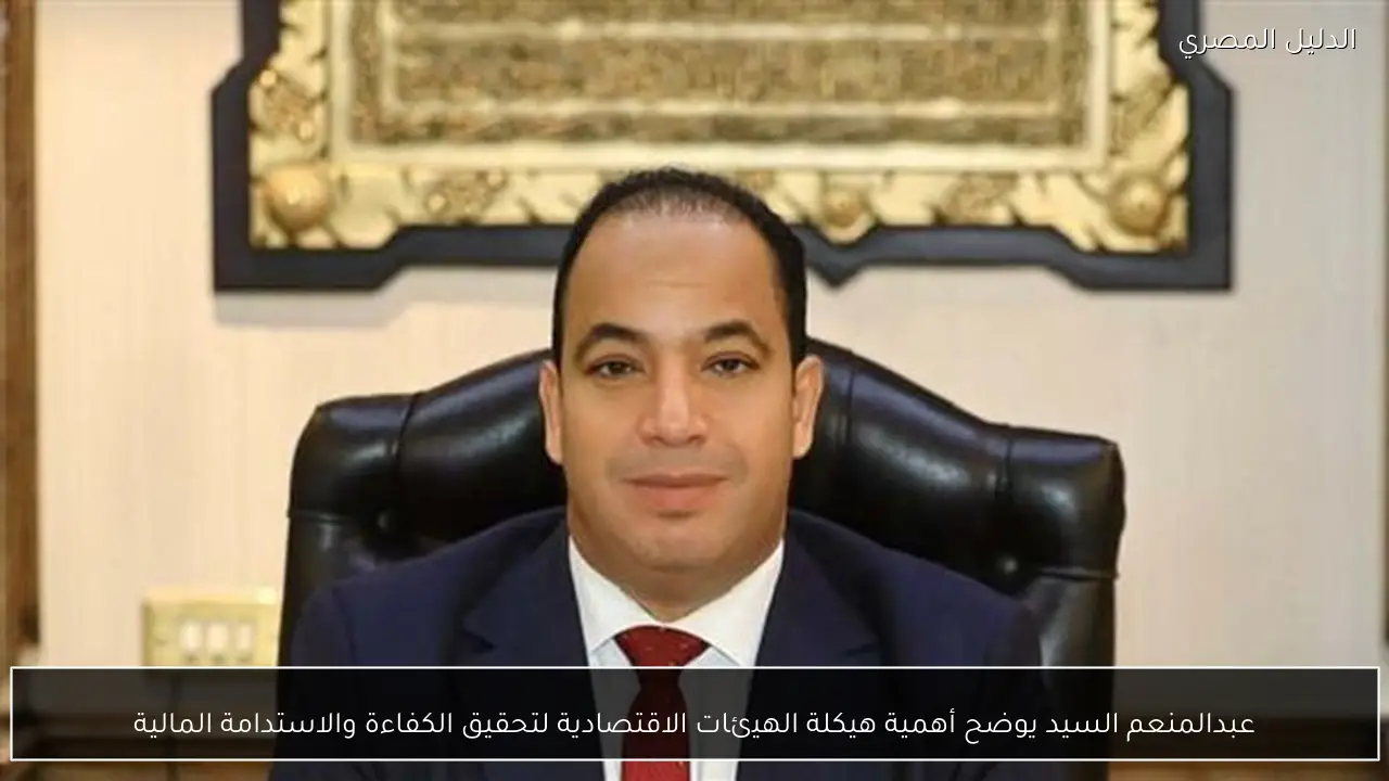 عبدالمنعم السيد يوضح أهمية هيكلة الهيئات الاقتصادية لتحقيق الكفاءة والاستدامة المالية