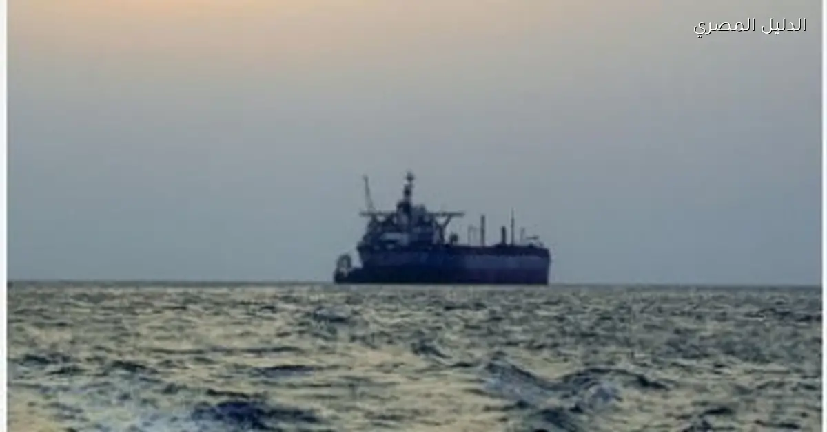 قوات أمريكية تتدخل لوقف سفينة متجهة من الصين إلى إيران