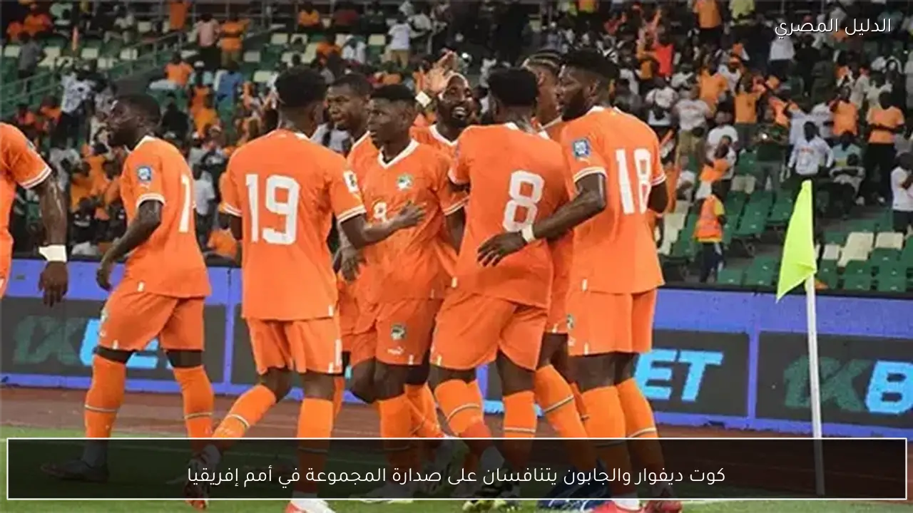 كوت ديفوار والجابون يتنافسان على صدارة المجموعة في أمم إفريقيا