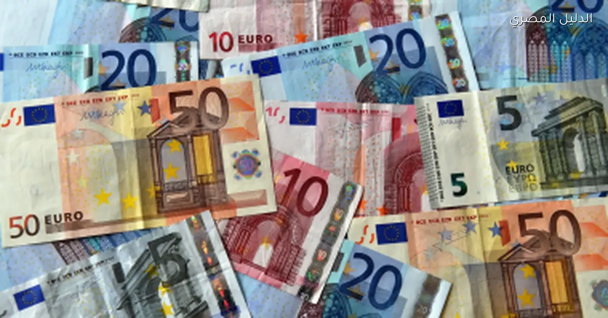 هل ستظل النقود الورقية والمعدنية موجودة في ظل التحول الرقمي في أوروبا؟