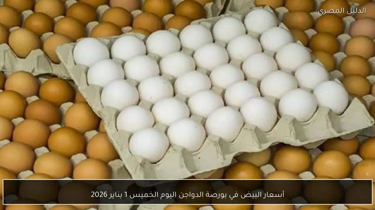 أسعار البيض في بورصة الدواجن اليوم الخميس 1 يناير 2026