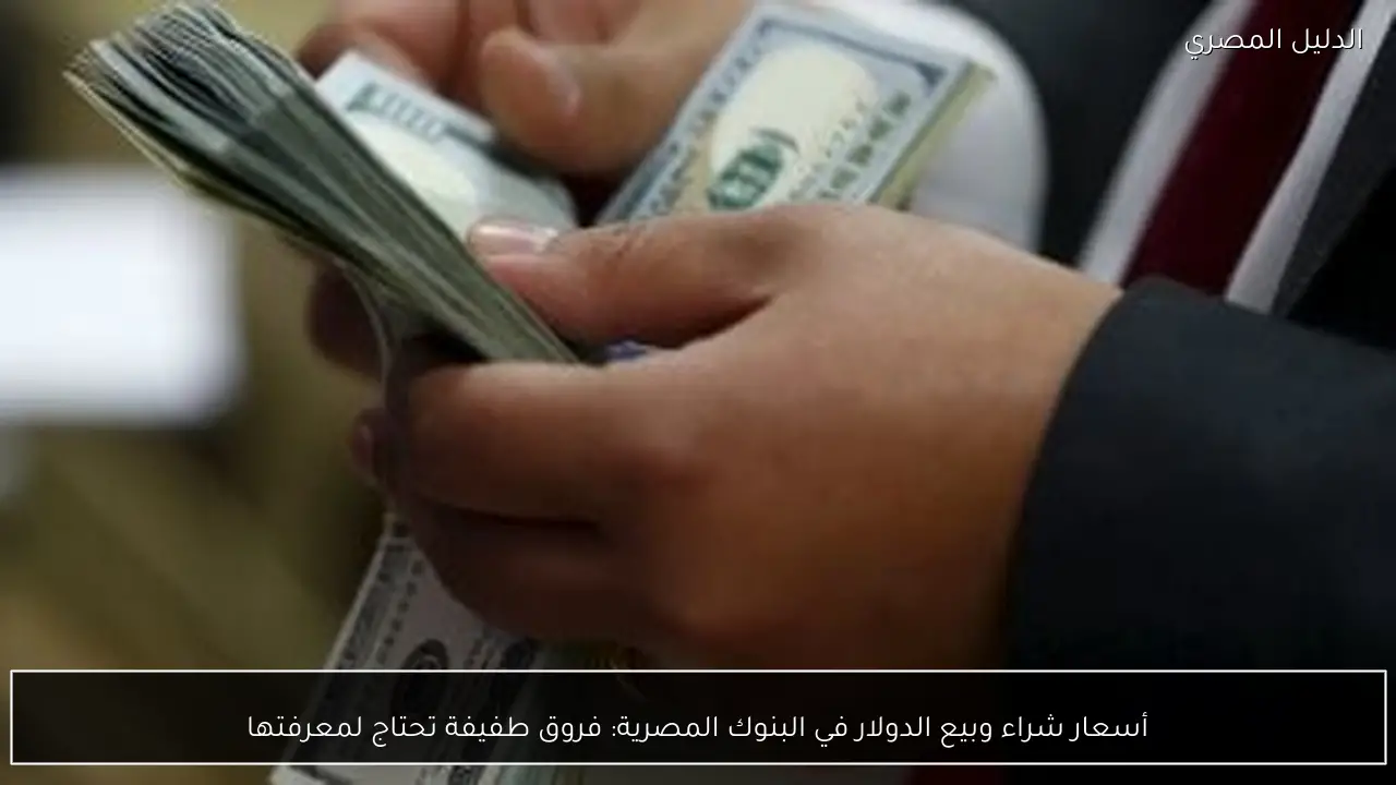 أسعار شراء وبيع الدولار في البنوك المصرية: فروق طفيفة تحتاج لمعرفتها