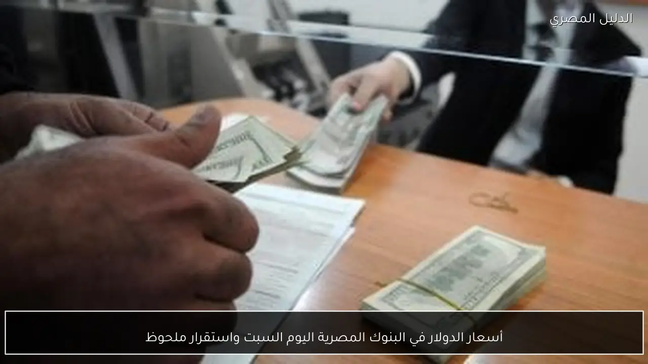 أسعار الدولار في البنوك المصرية اليوم السبت واستقرار ملحوظ