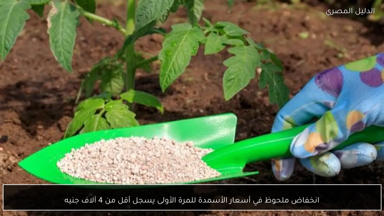 انخفاض ملحوظ في أسعار الأسمدة للمرة الأولى يسجل أقل من 4 آلاف جنيه