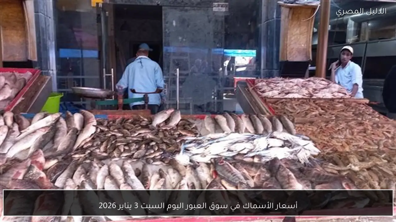 أسعار الأسماك في سوق العبور اليوم السبت 3 يناير 2026