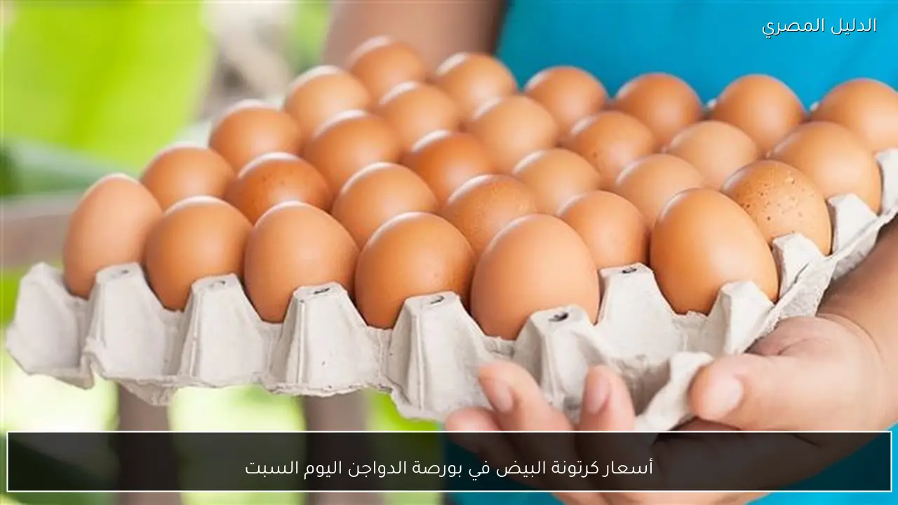 أسعار كرتونة البيض في بورصة الدواجن اليوم السبت