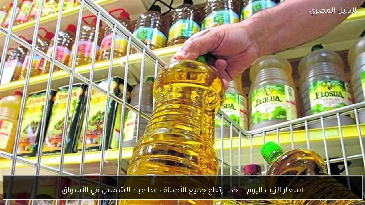 أسعار الزيت اليوم الأحد: ارتفاع جميع الأصناف عدا عباد الشمس في الأسواق