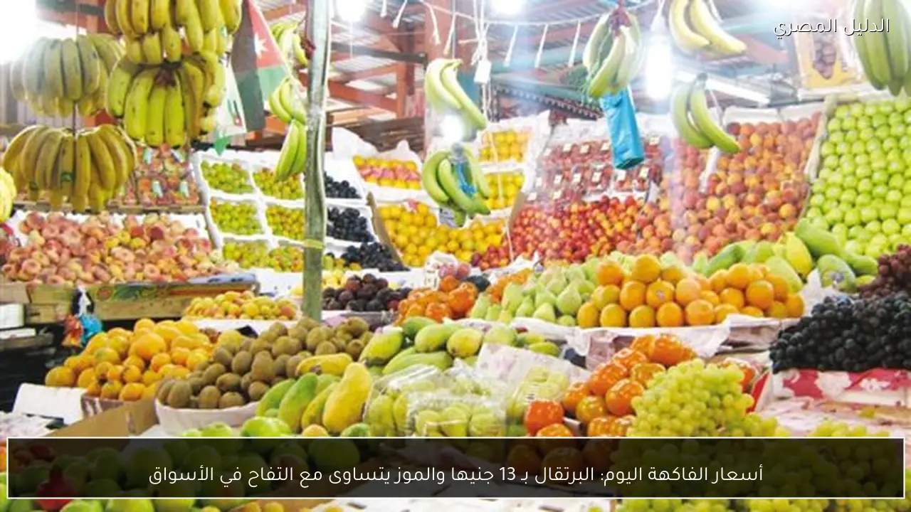 أسعار الفاكهة اليوم: البرتقال بـ 13 جنيها والموز يتساوى مع التفاح في الأسواق
