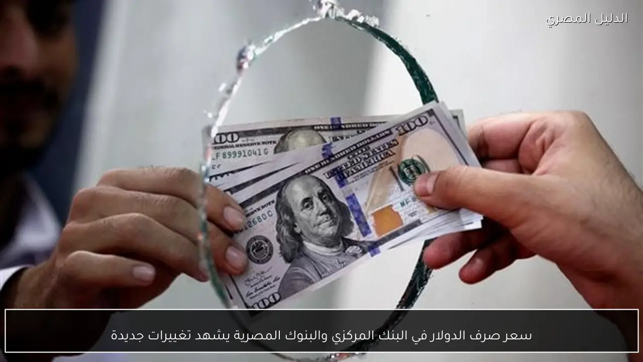 سعر صرف الدولار في البنك المركزي والبنوك المصرية يشهد تغييرات جديدة