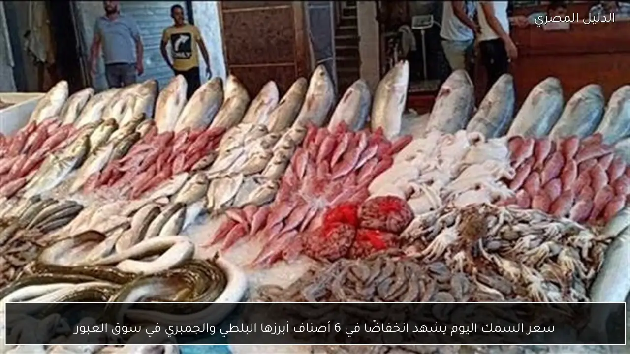 سعر السمك اليوم يشهد انخفاضًا في 6 أصناف أبرزها البلطي والجمبري في سوق العبور