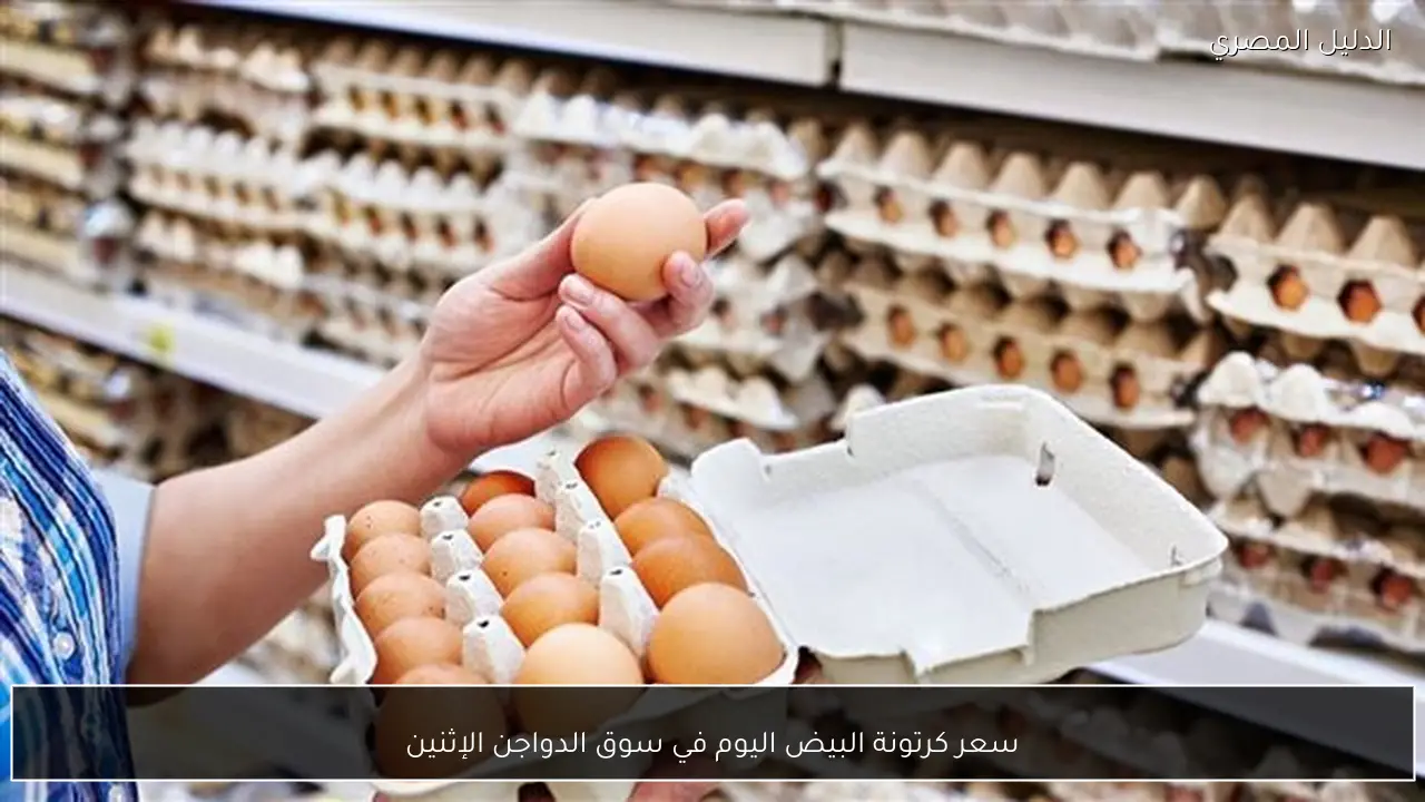 سعر كرتونة البيض اليوم في سوق الدواجن الإثنين