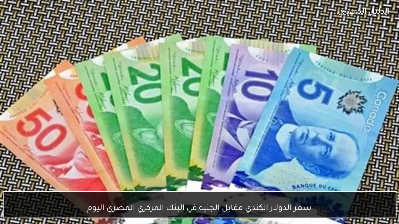 سعر الدولار الكندي مقابل الجنيه في البنك المركزي المصري اليوم