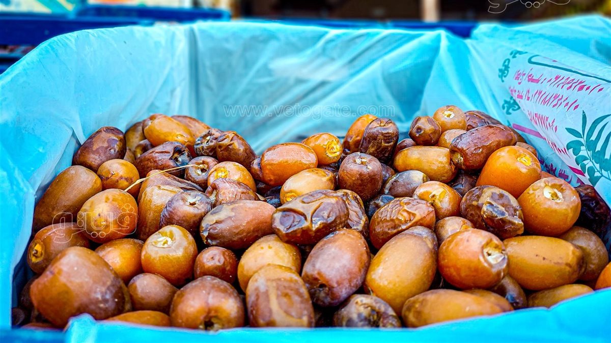 سعر البلح اليوم، الدليل المصري