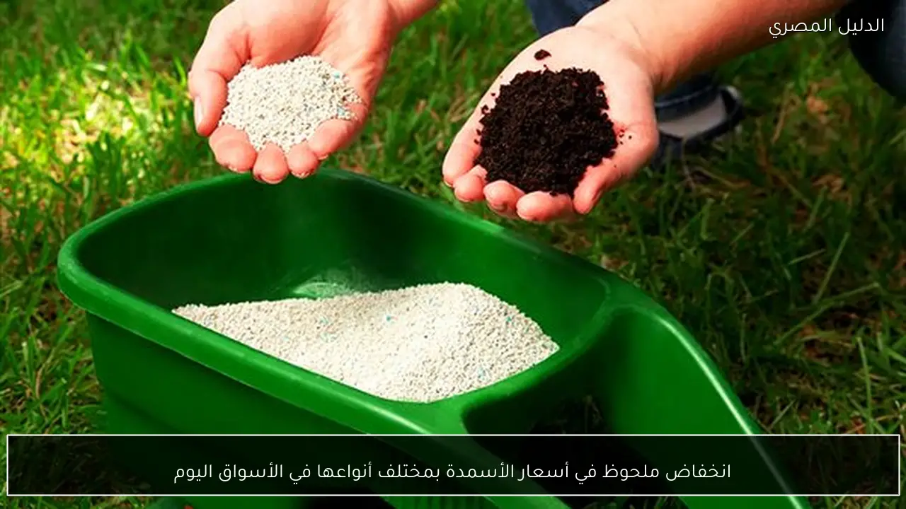انخفاض ملحوظ في أسعار الأسمدة بمختلف أنواعها في الأسواق اليوم