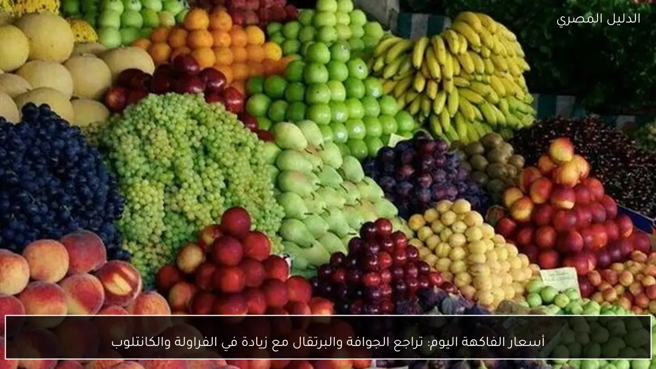 أسعار الفاكهة اليوم: تراجع الجوافة والبرتقال مع زيادة في الفراولة والكانتلوب