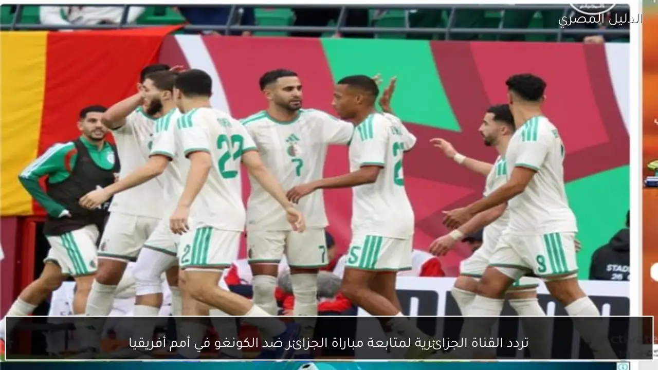 تردد القناة الجزائرية لمتابعة مباراة الجزائر ضد الكونغو في أمم أفريقيا