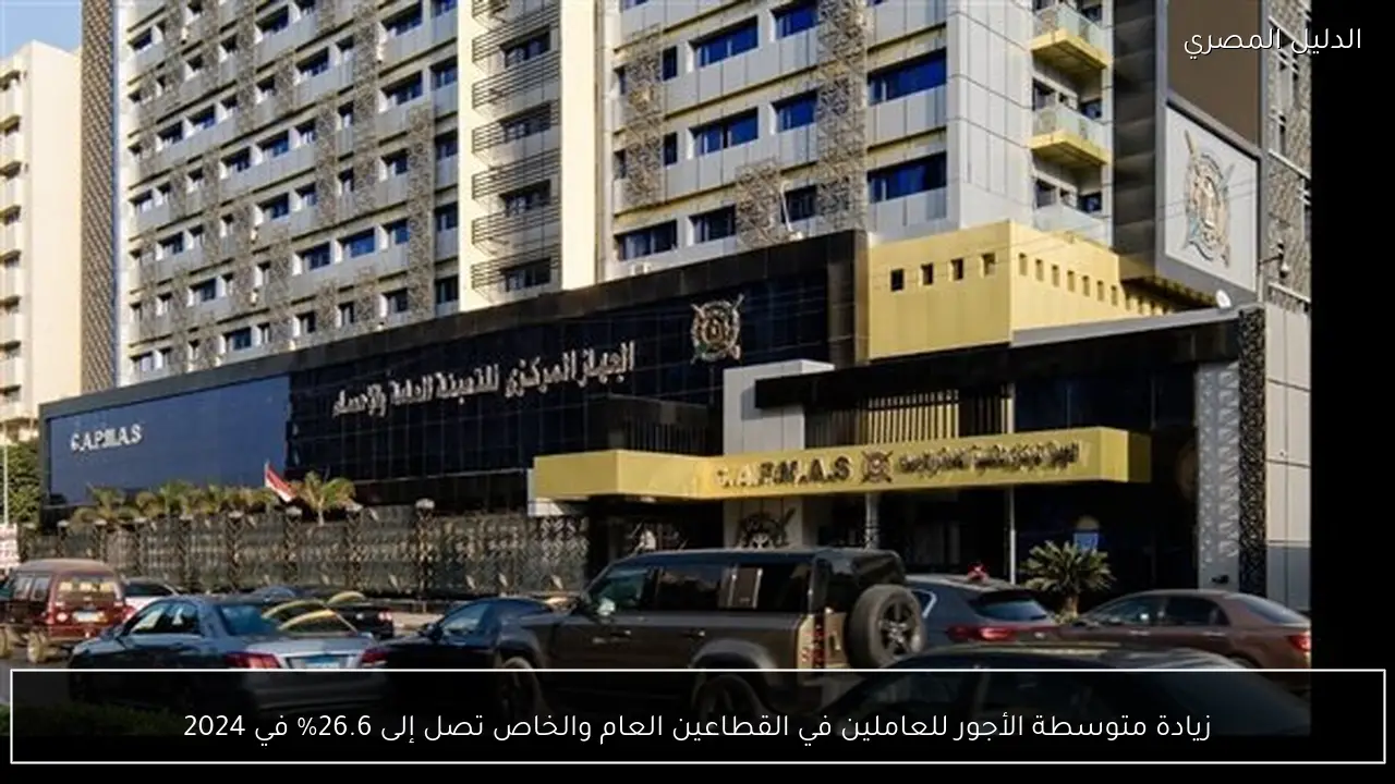 زيادة متوسطة الأجور للعاملين في القطاعين العام والخاص تصل إلى 26.6% في 2024