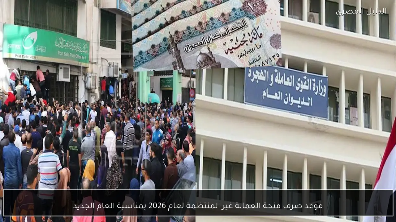 موعد صرف منحة العمالة غير المنتظمة لعام 2026 بمناسبة العام الجديد