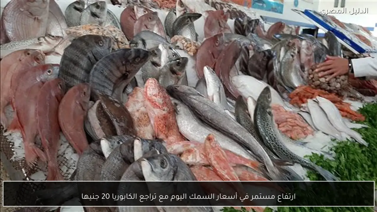 ارتفاع مستمر في أسعار السمك اليوم مع تراجع الكابوريا 20 جنيها