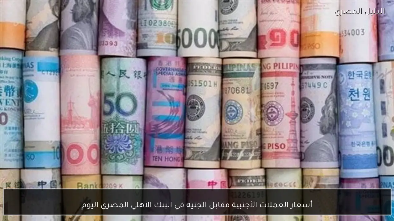أسعار العملات الأجنبية مقابل الجنيه في البنك الأهلي المصري اليوم