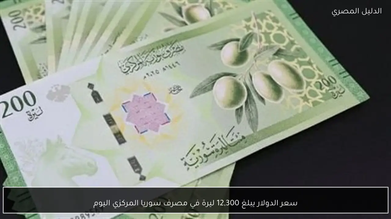 سعر الدولار يبلغ 12,300 ليرة في مصرف سوريا المركزي اليوم