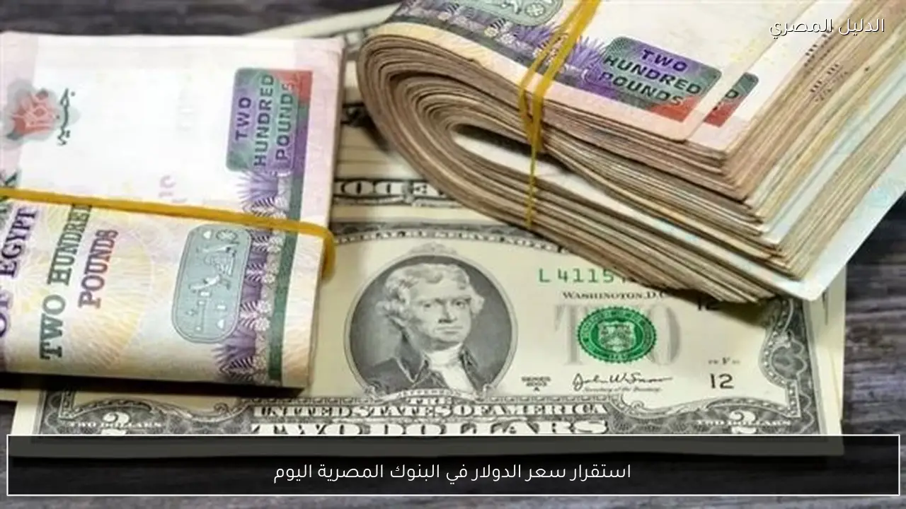 استقرار سعر الدولار في البنوك المصرية اليوم