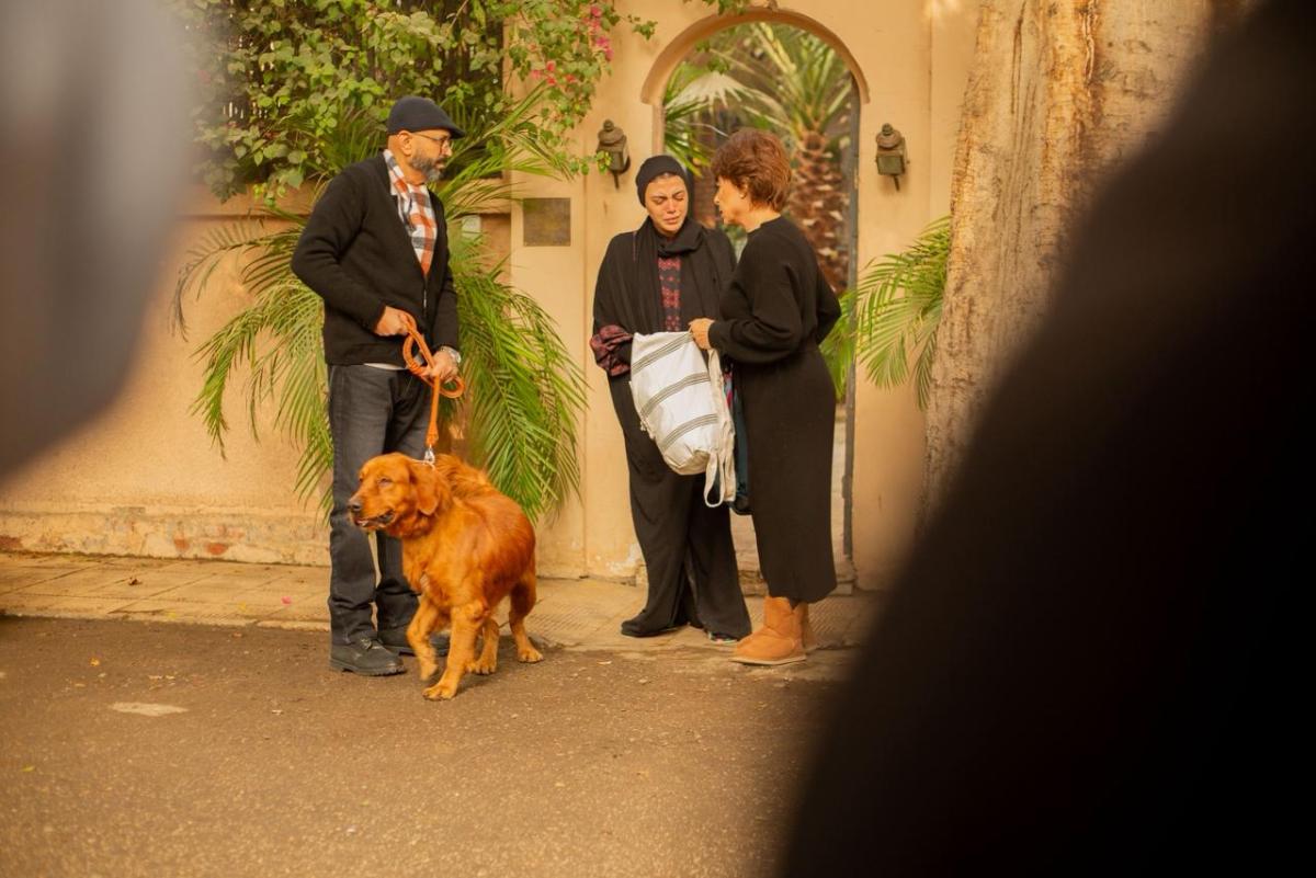 مسلسل توابع