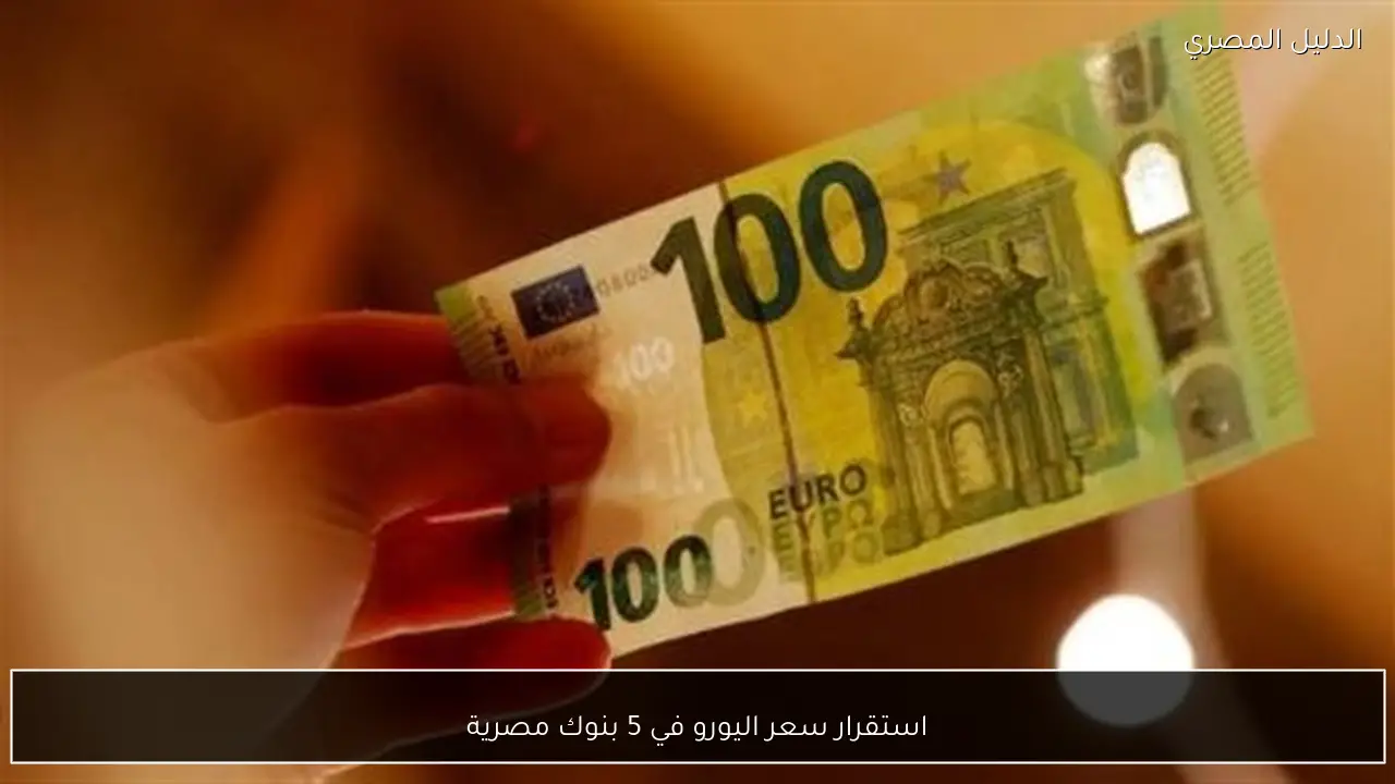 استقرار سعر اليورو في 5 بنوك مصرية